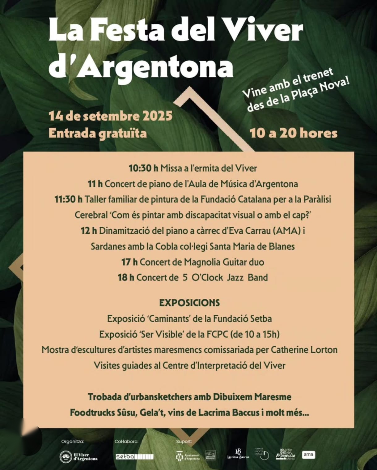 Cartel Festa del Viver d'Argentona